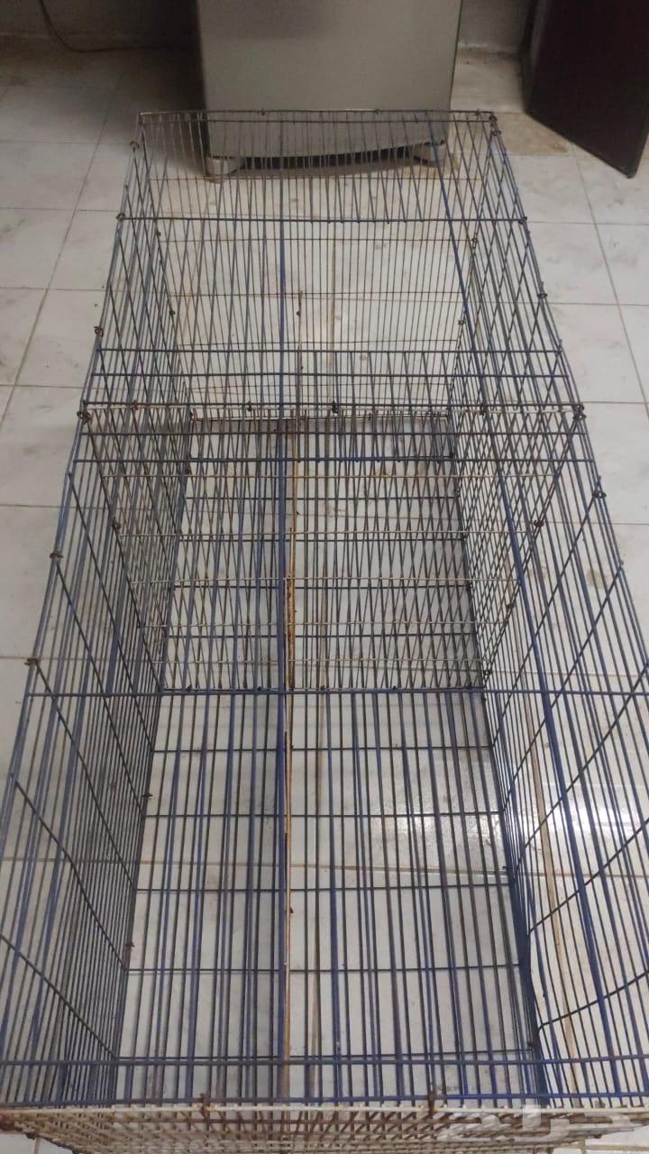 قفص حمام  البيع مستعجل.64521054869249113