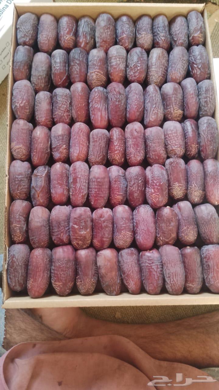 Premium Ajwa and Majdoul Dates64521140083714111