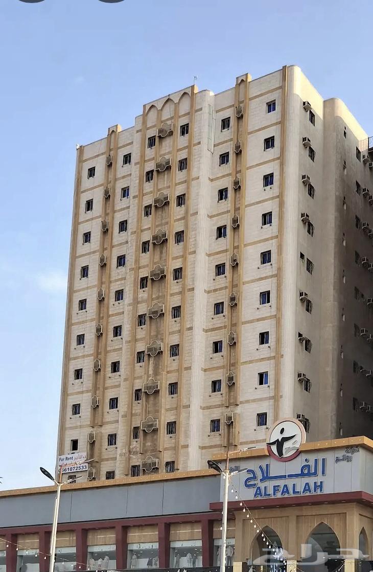 شقة للإيجار