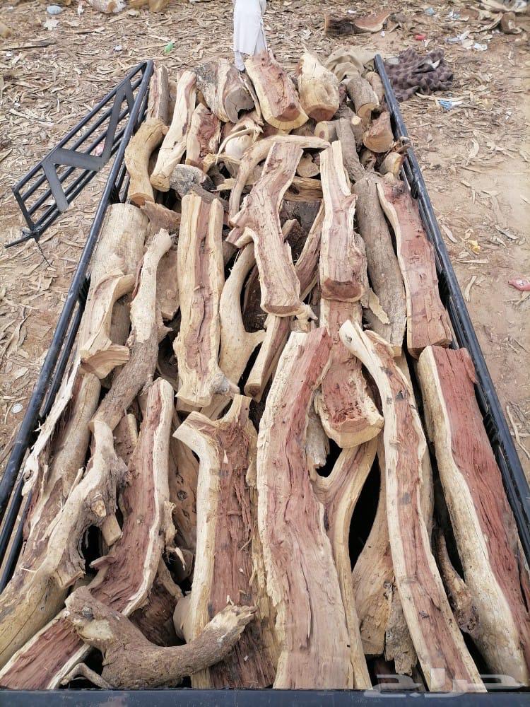 حطب سمر شلايخ ومباريم شرط64521639224961113