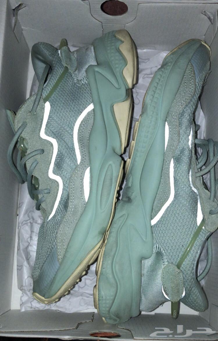 شوز اديداس اصلي Adidas64519639009794112