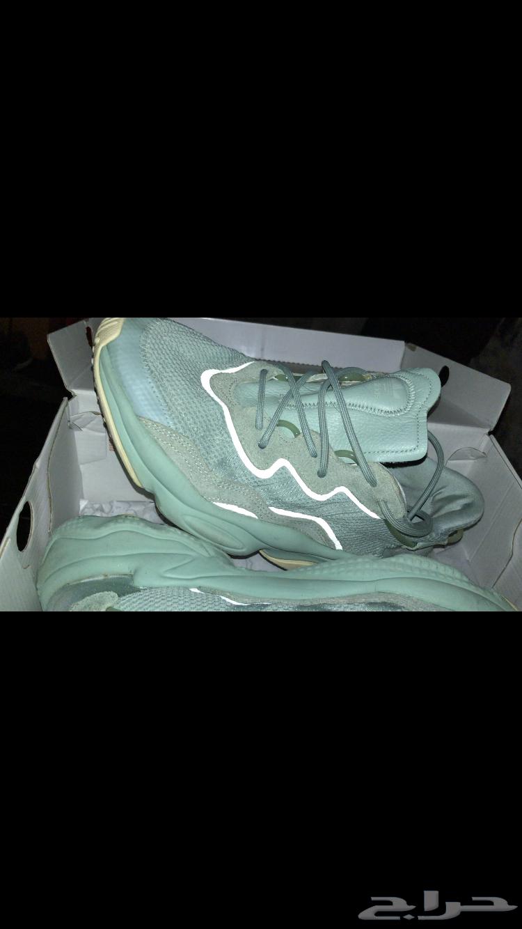 شوز اديداس اصلي Adidas64519639009794110