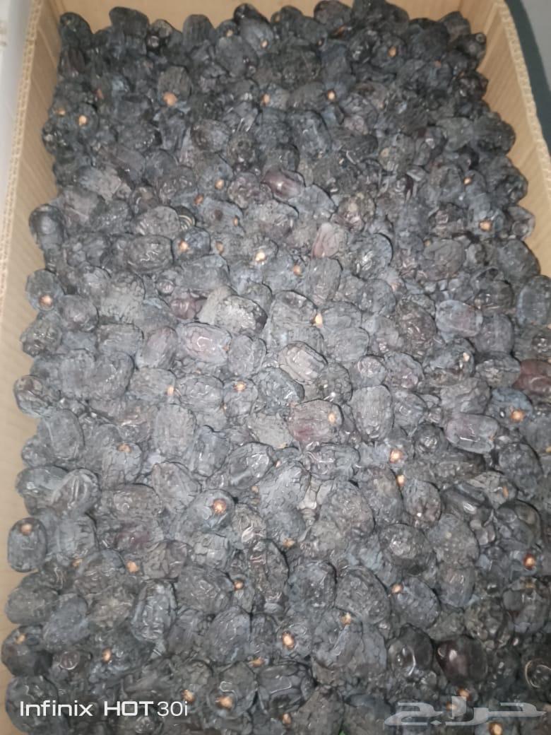 Premium Ajwa and Majdoul Dates64521140083714110