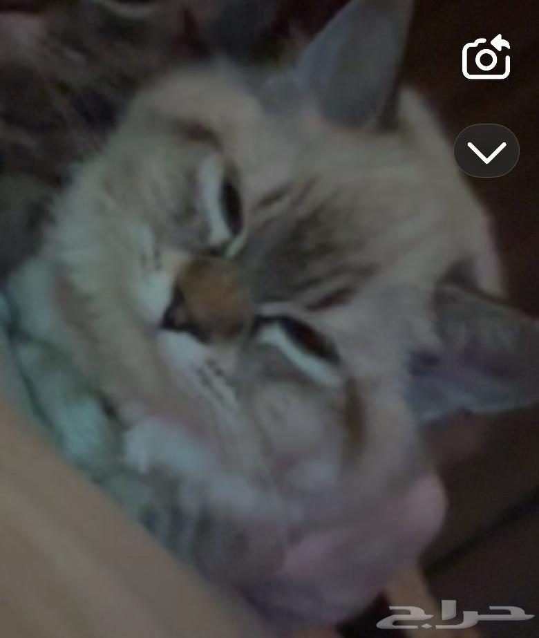 Enough64521850977539110