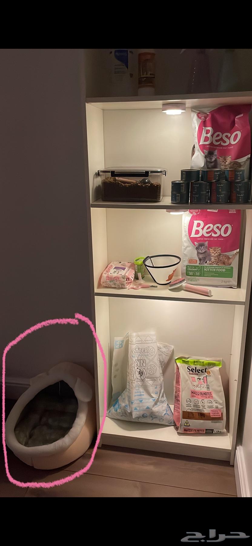 بيت قطط64524162135554111