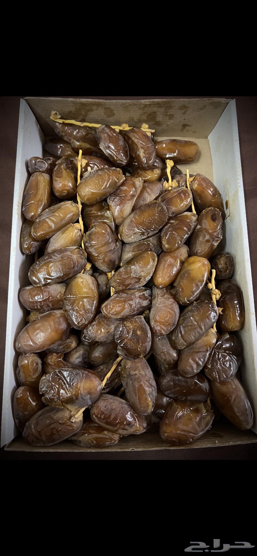 Algerian Deglet Nour Dates64523569786881111