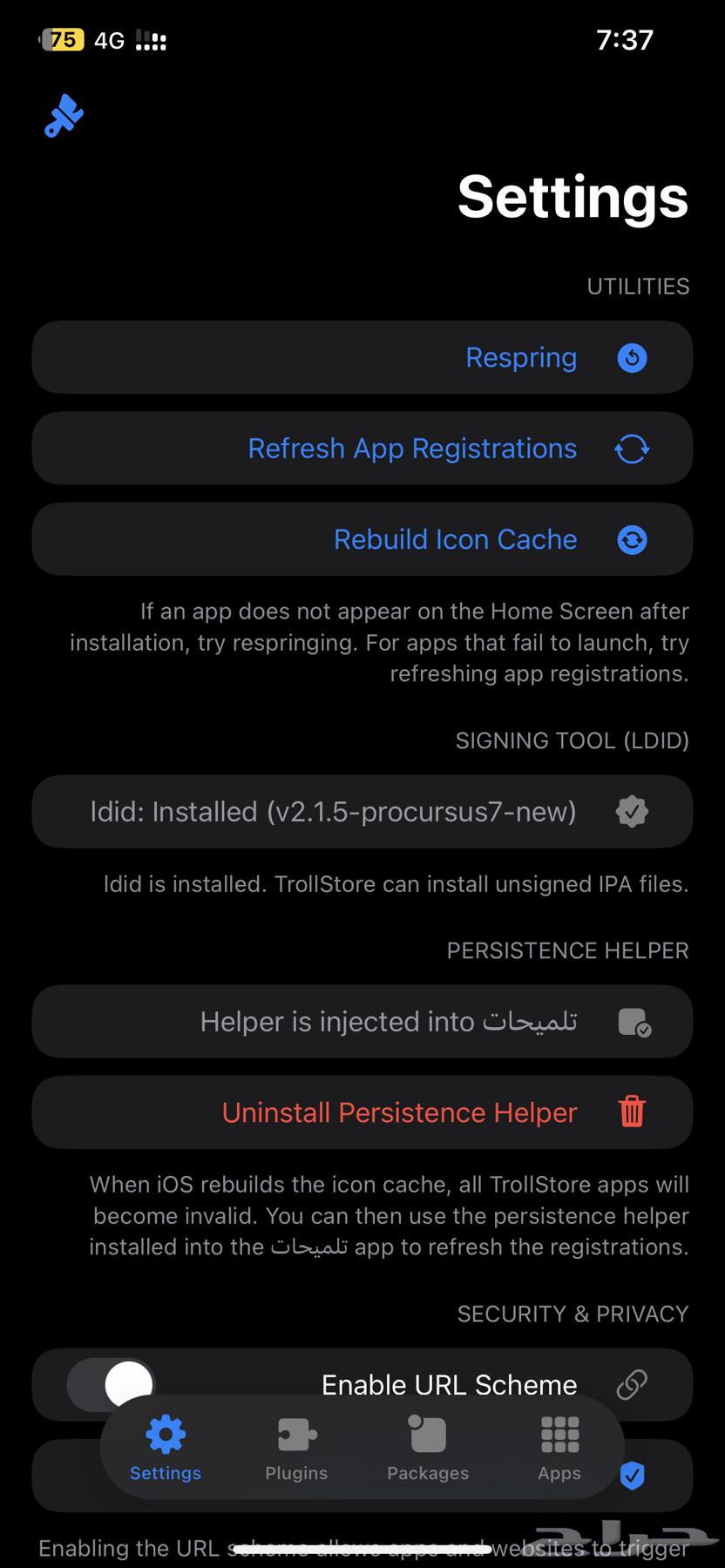iPhone 11 Pro Max Green Night Edition 16.5 with Jailbreak and TrollStore64514651938433113