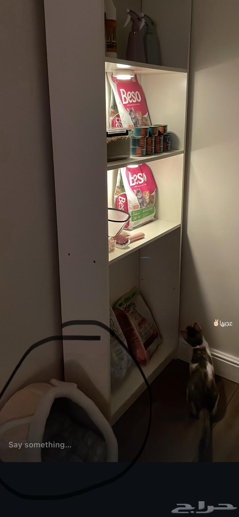 بيت قطط64524162135554110