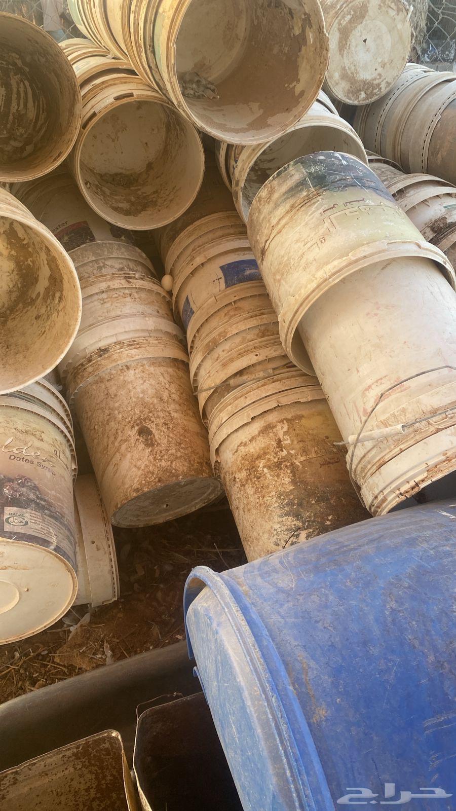 أسطول طيور (العدد تقريبا 100)64523991721474110