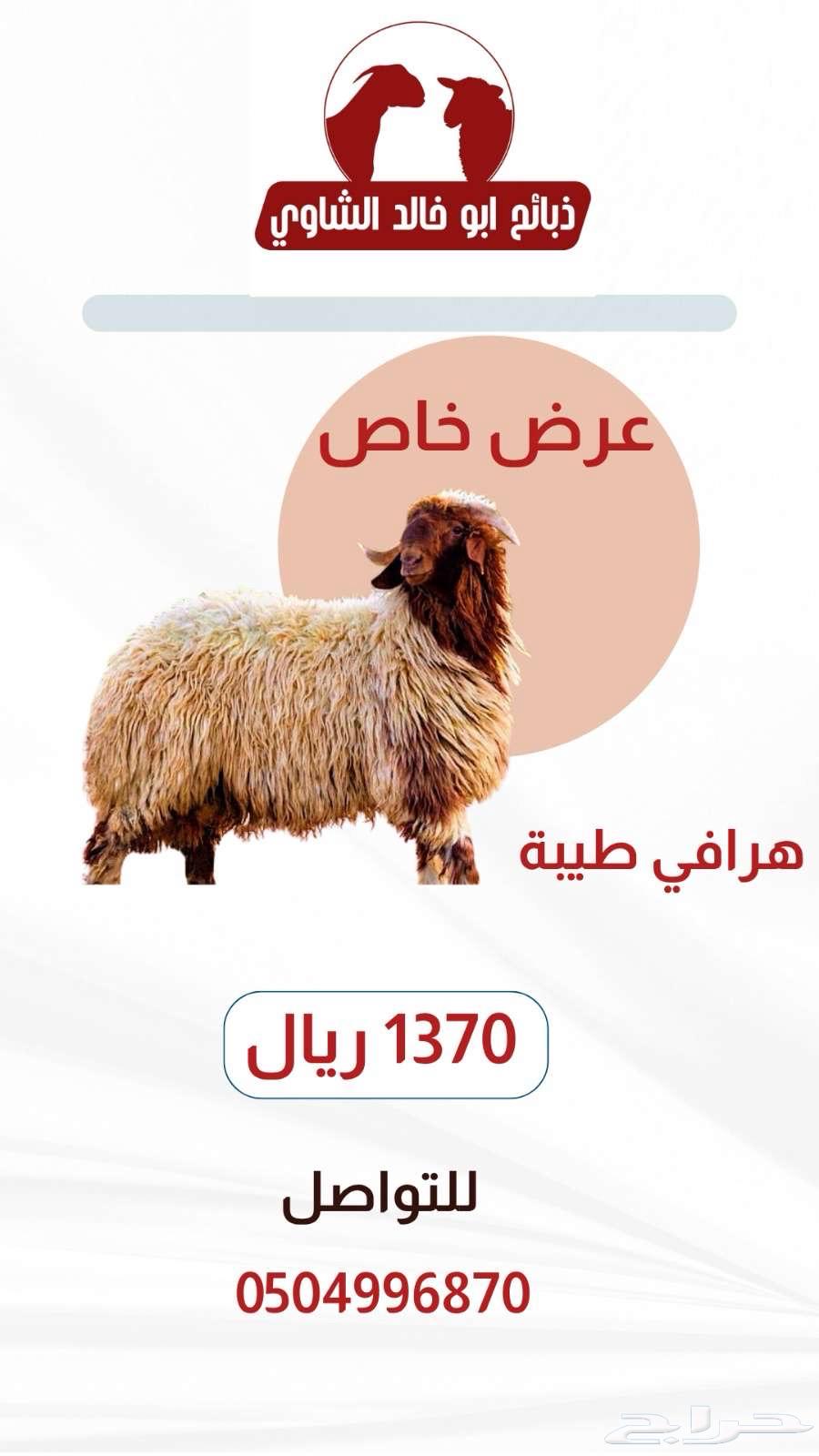 Dhaba764523837967235112