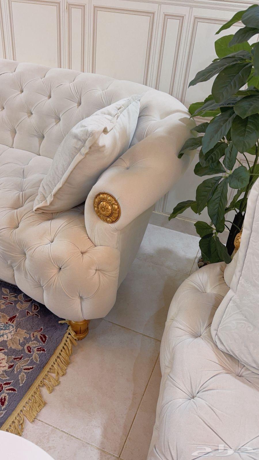 عروض جديد في جديد64525856487041112