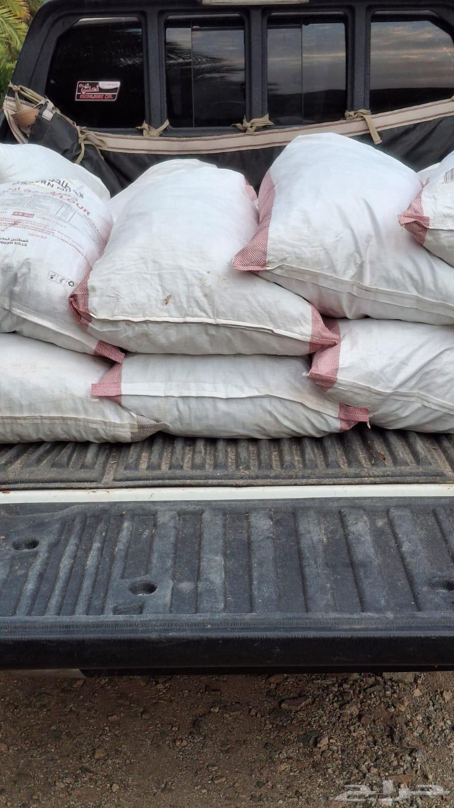 Clean Ajwa Dates for Halal64520375035778111