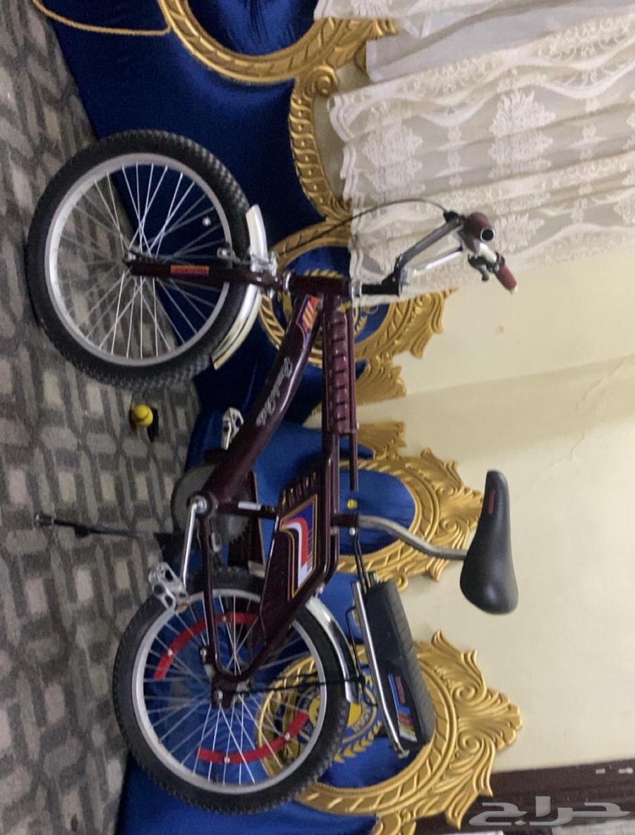 Rambo Bicycle64519243686657113