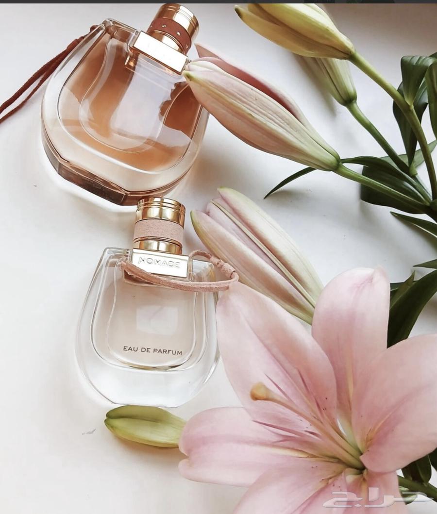 Perfumes64528781171715110