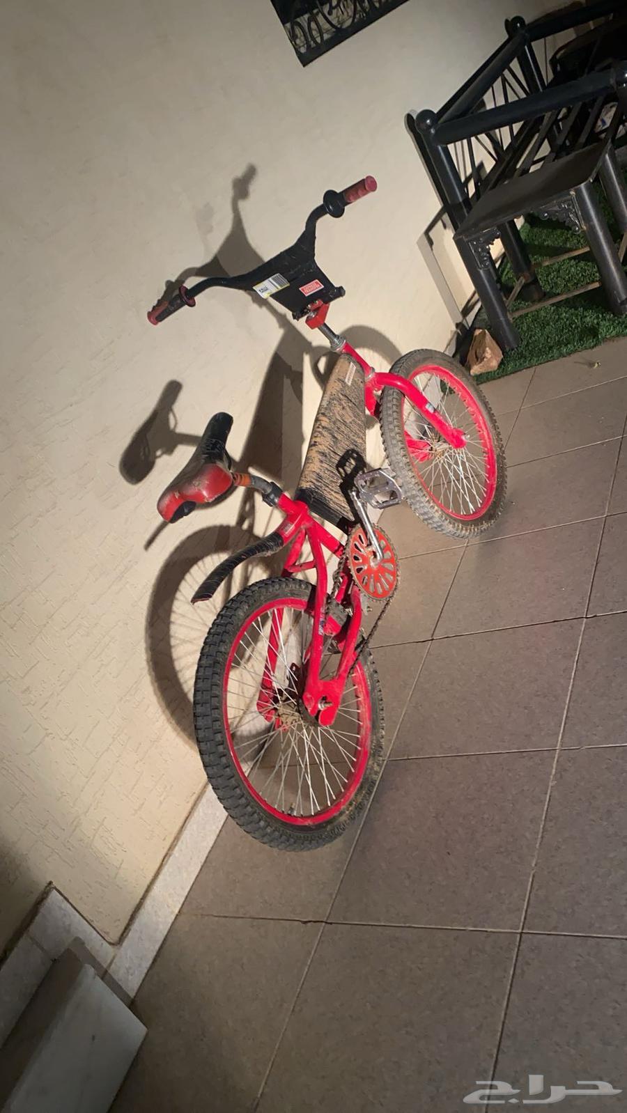 Cobra size 20 for sale, stored for 3 and a half months, highest offer64534536868611112