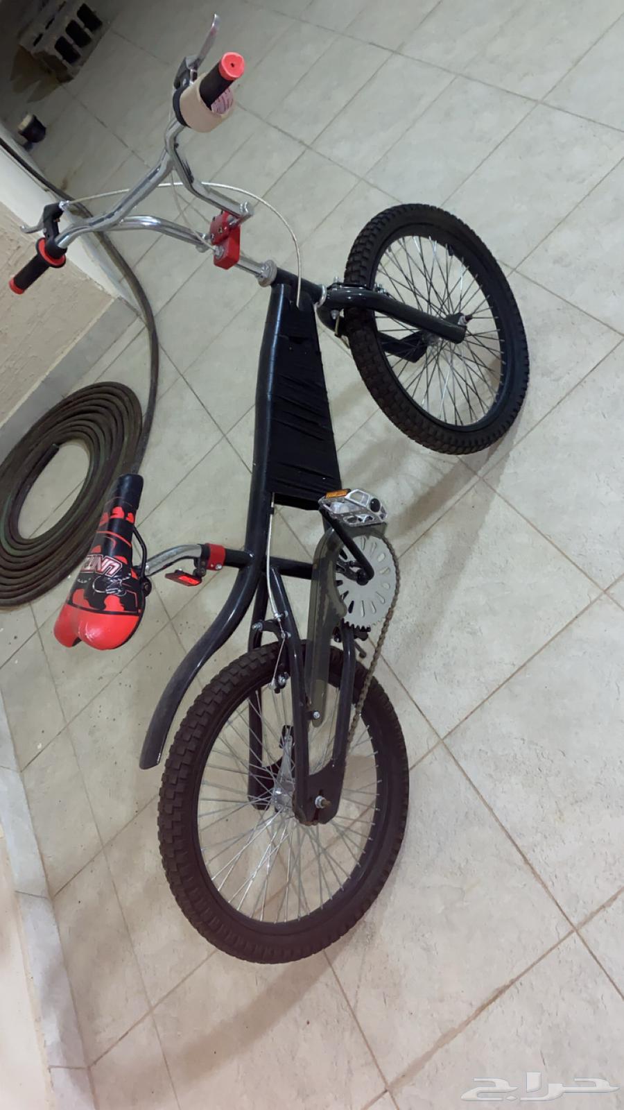 سيكل كوبرا للبيع استخدام شهر بس64533888449409114