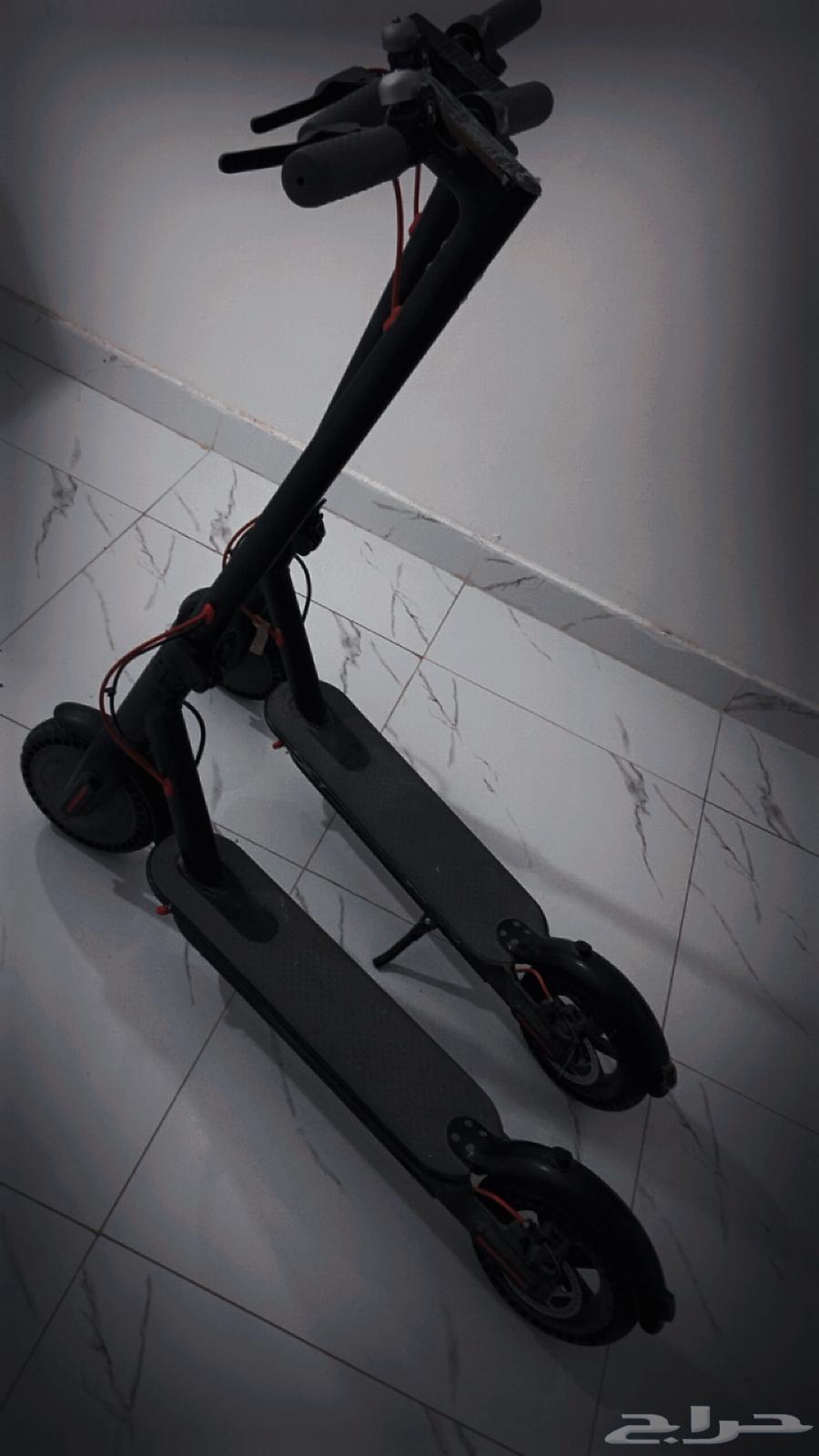 Scooter64533790163586110