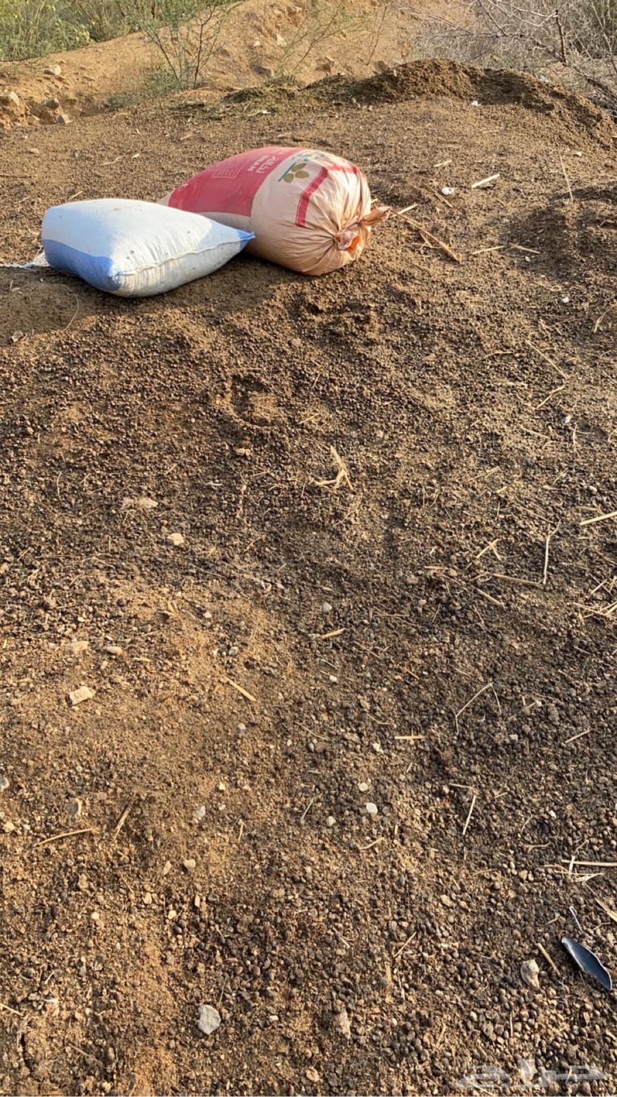 Old sheep manure64532339708546112