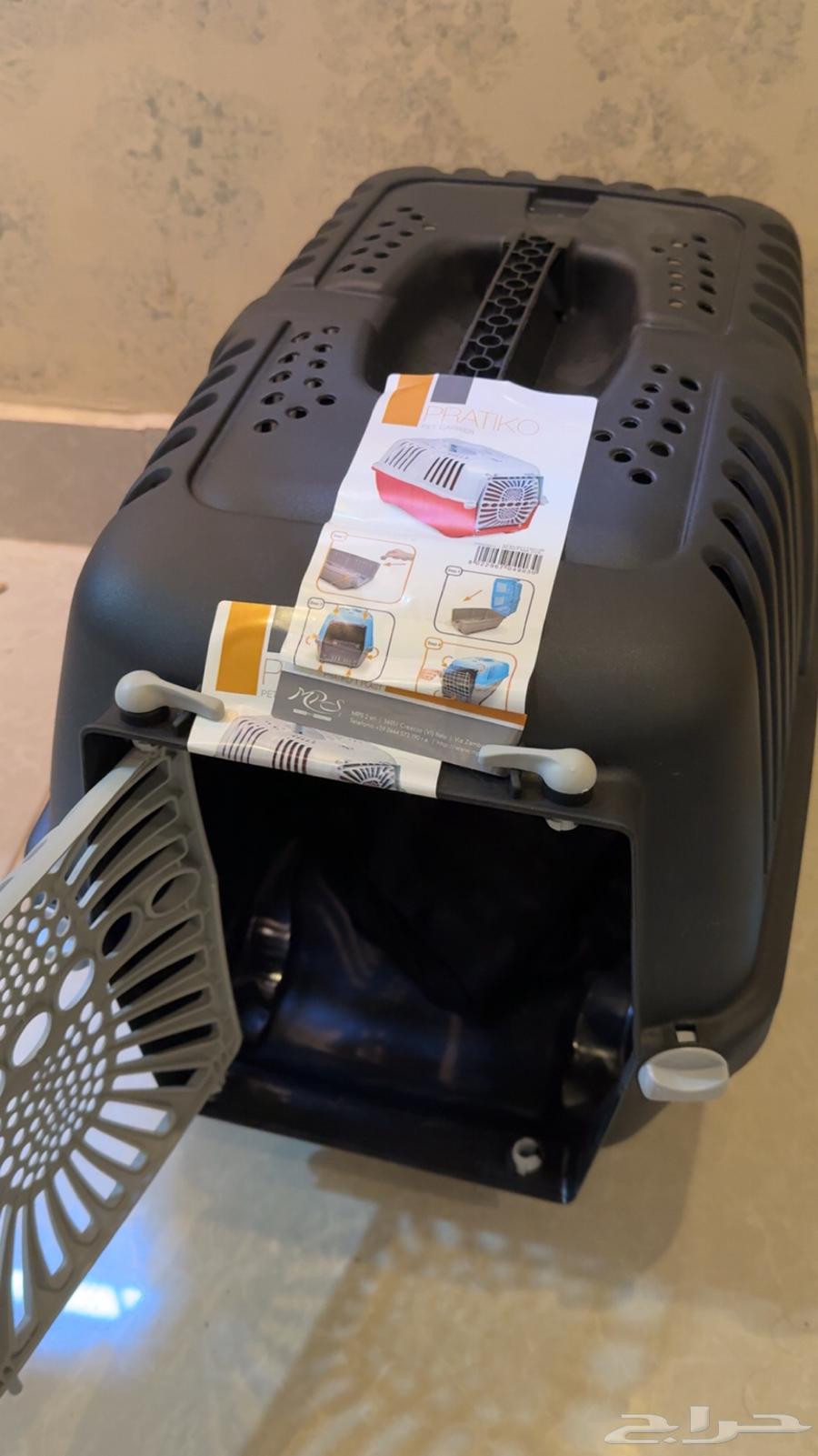 Shirazi cat, clean and playful, everything included for adoption64530064874243114