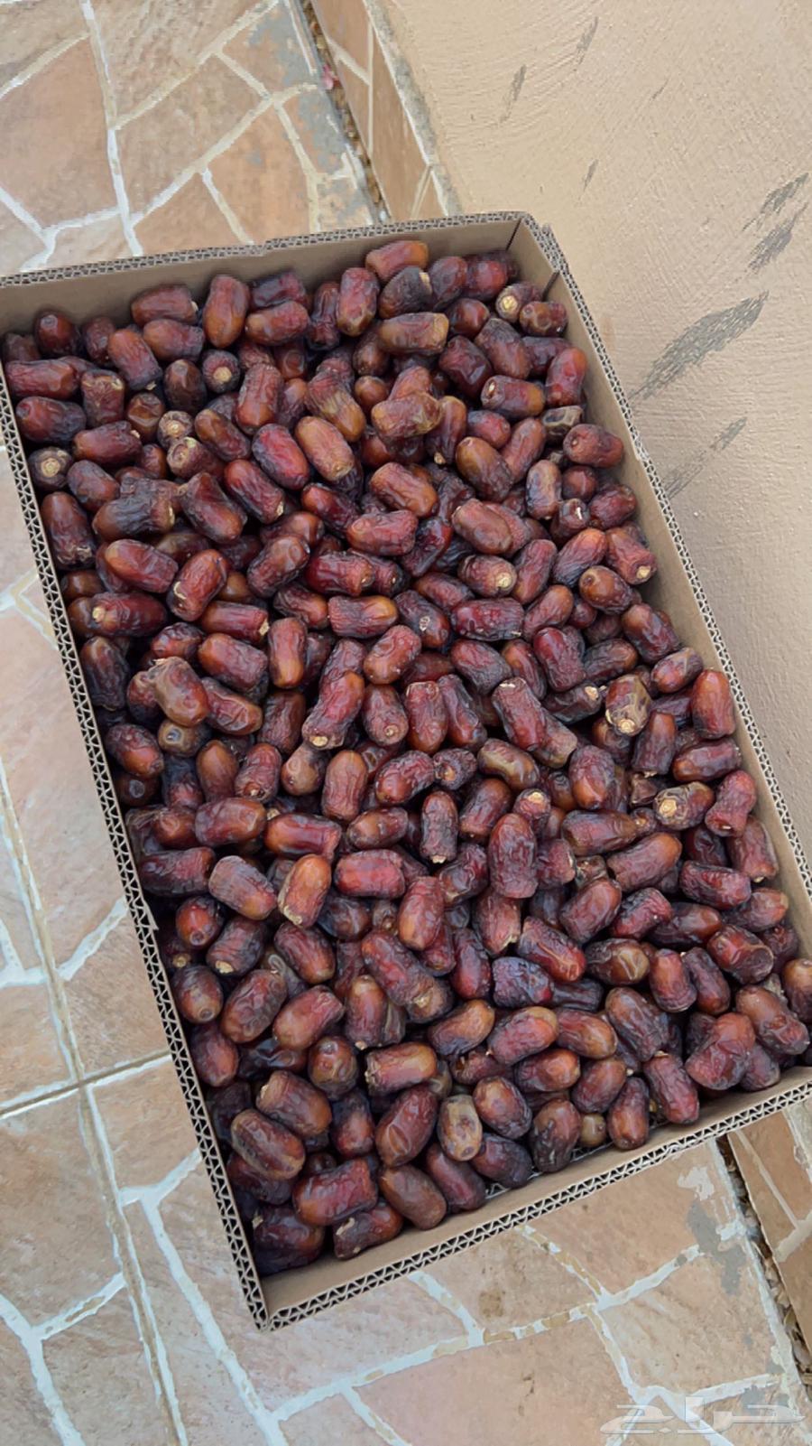 Hello, I'm offering you Barni dates64533133488513110
