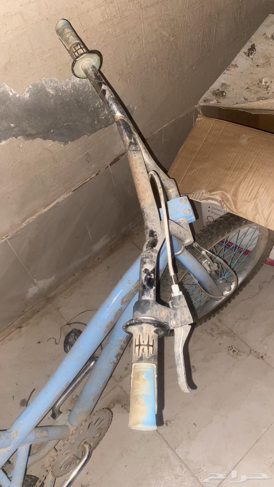 Cobra Cycle64530359990401111