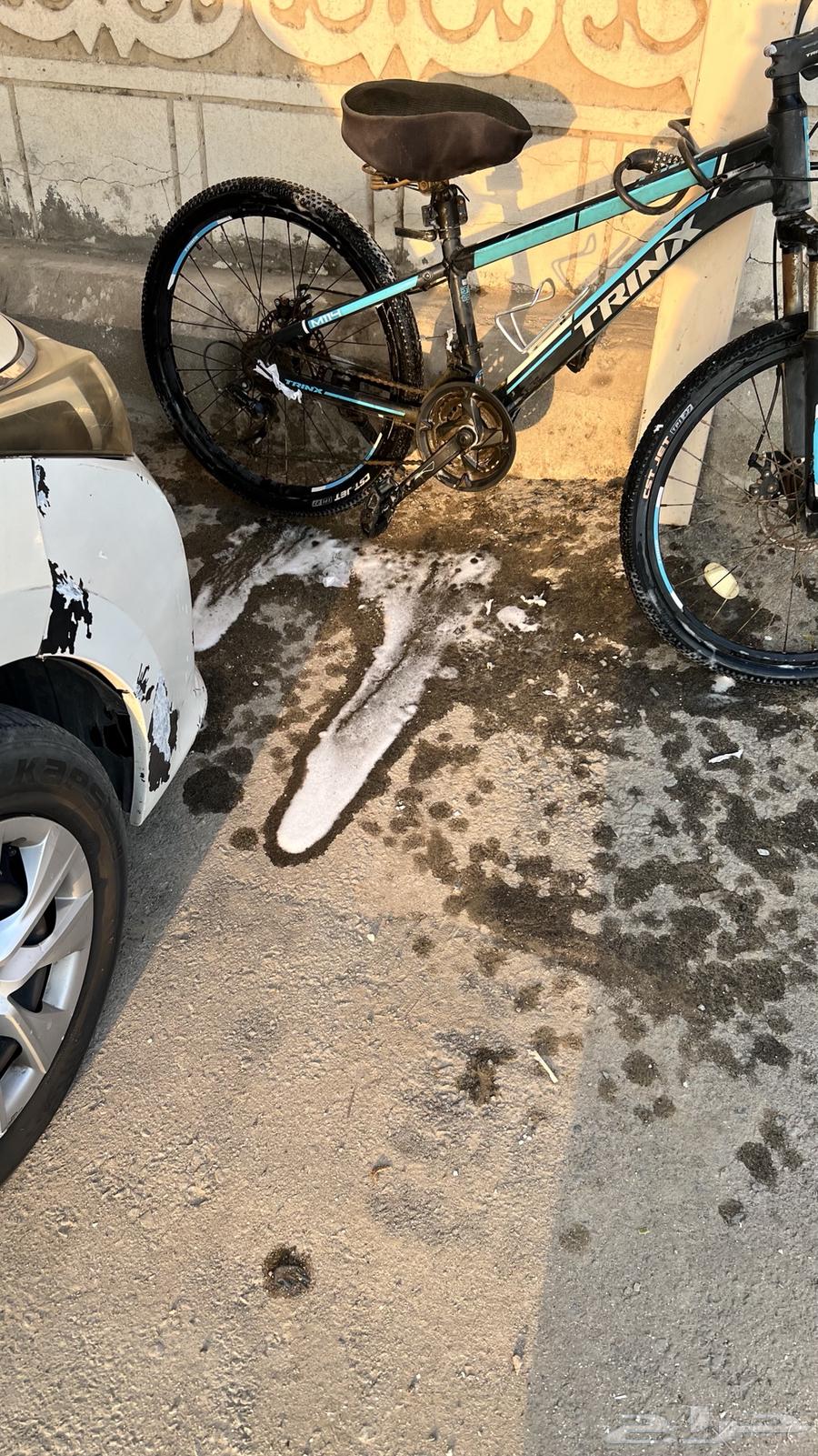 دراجة هوائية رايضية64534858759938112