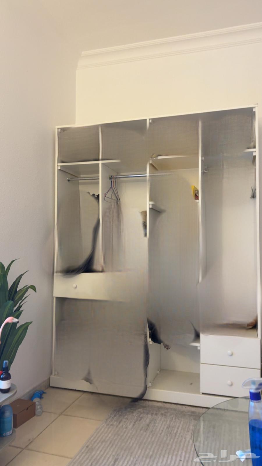 دولاب جديد اللبيع 60064527748058241110