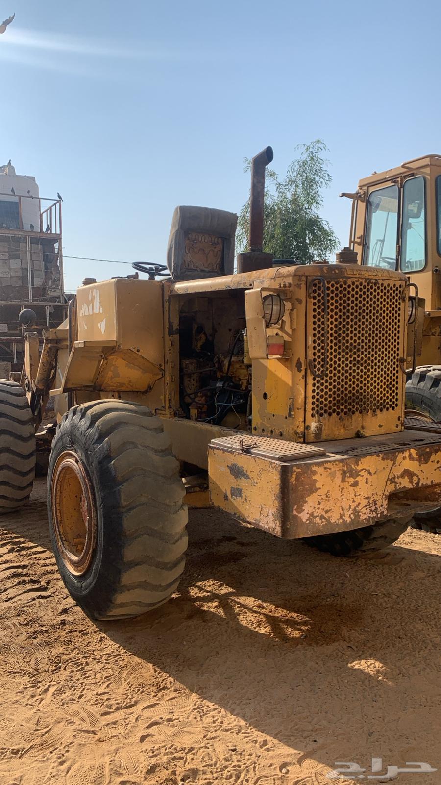 للبيع شيول 93064582840990083113