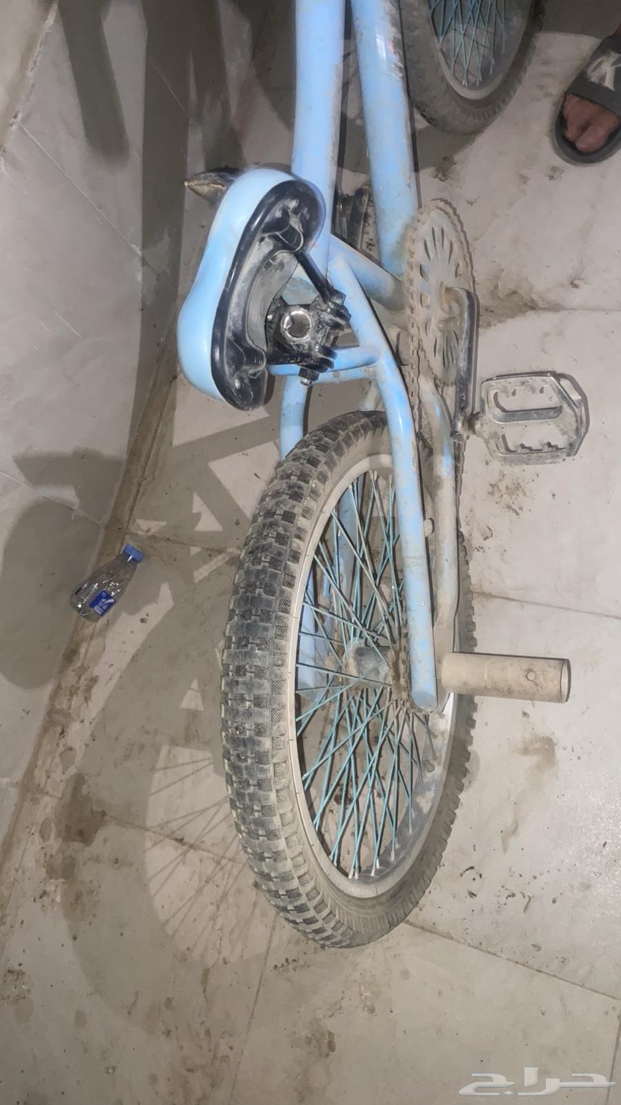 Cobra Cycle64530359990401110