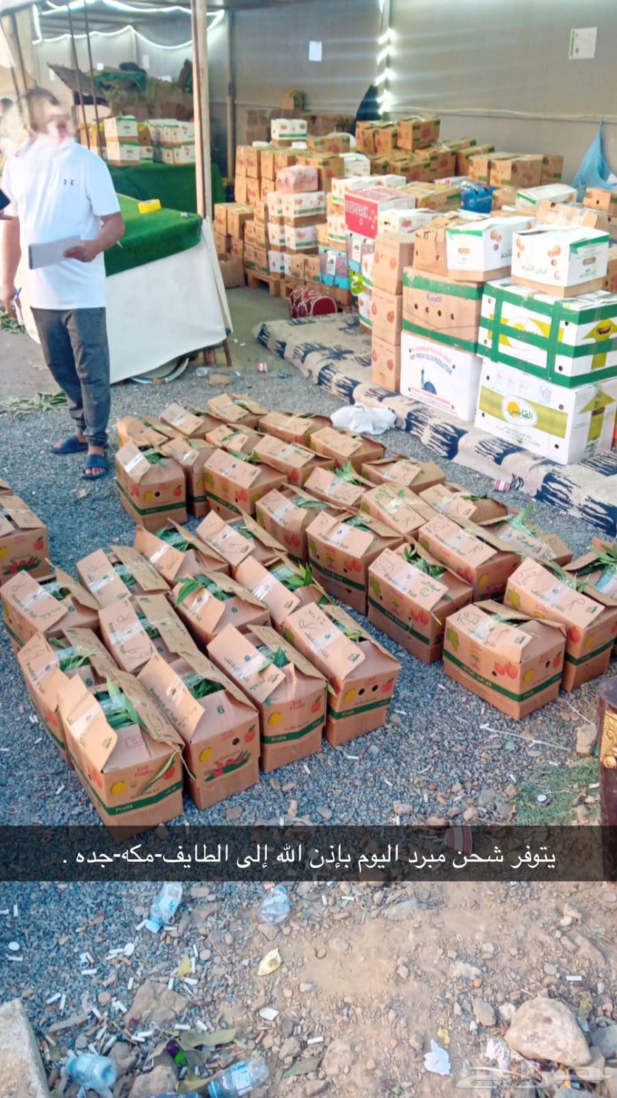 رمان الباحه الفاخر (بيده)64531463141122111