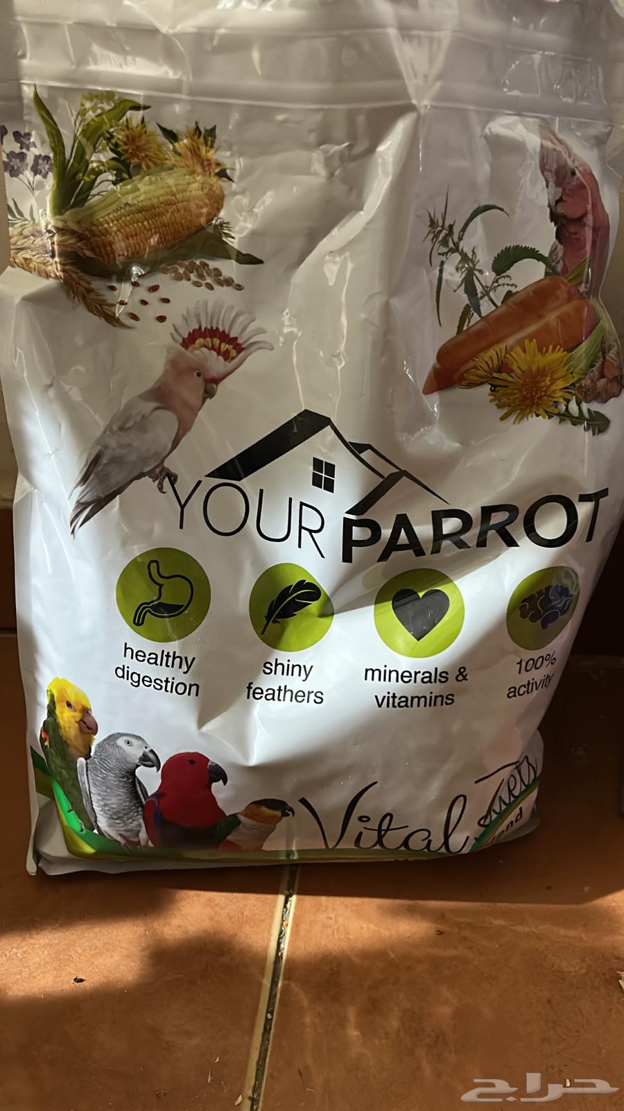 Senior64529938781443111