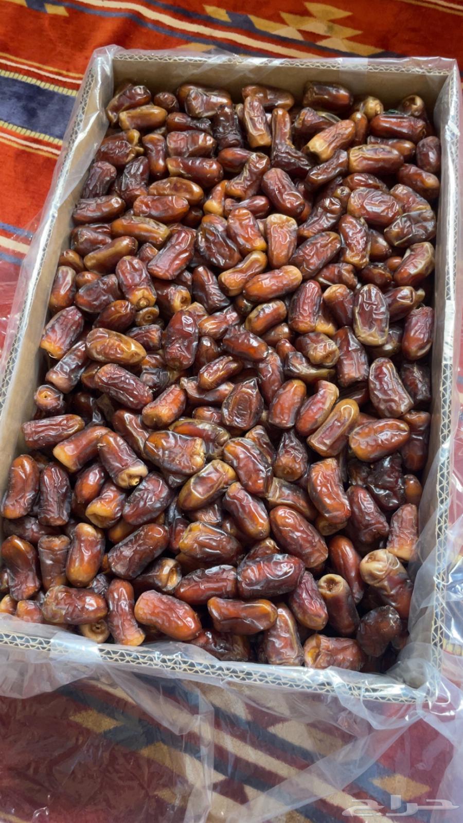 تمر برني مطوق رقم اثنين شي طيب64521766270466111