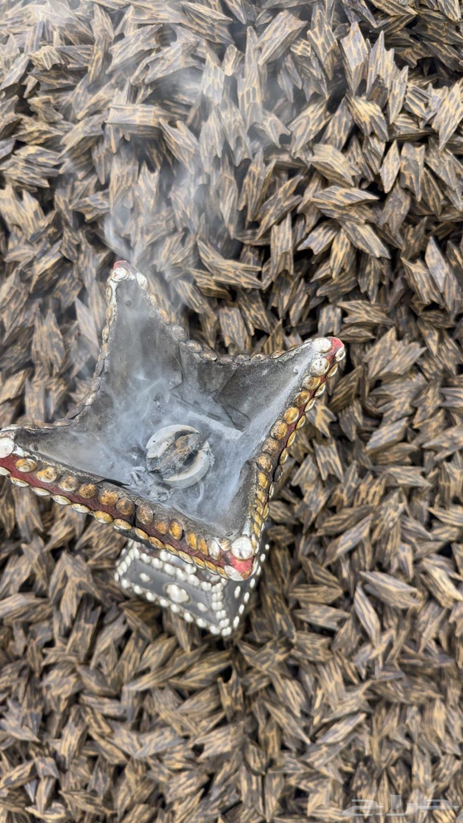 عود تايقر كمبودي درجة اولى64530177255041112