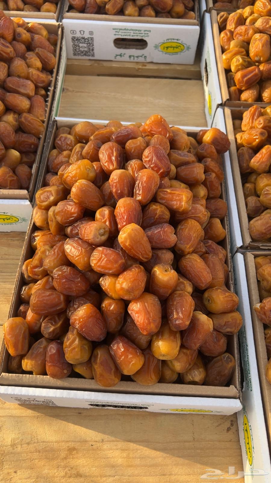 Al-Qassim Dates64528893378691112