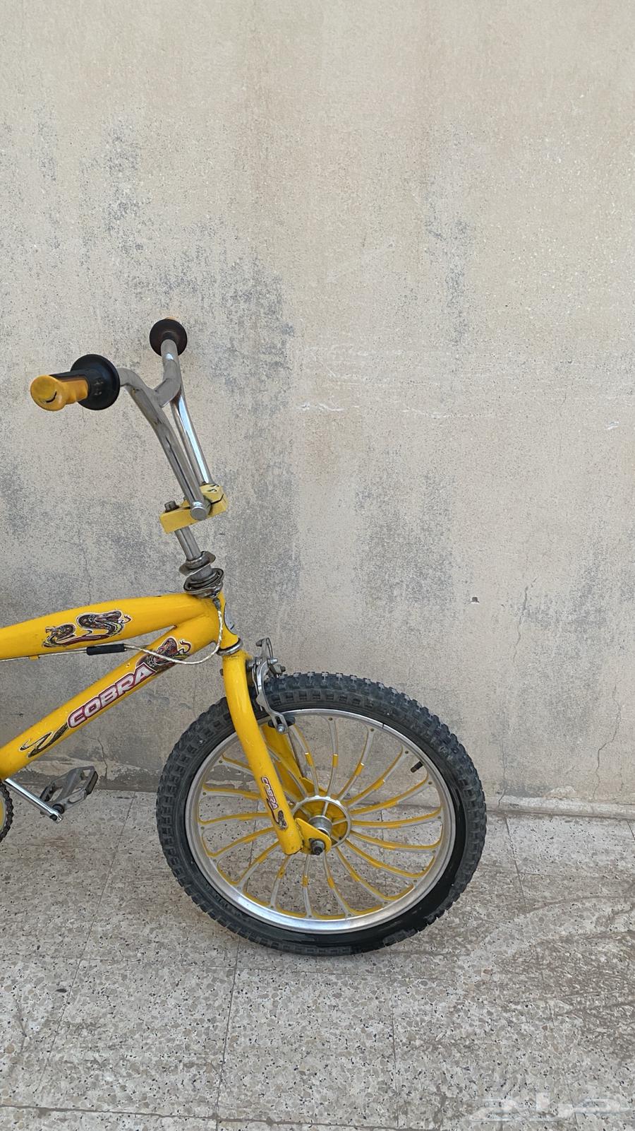 سياكل كوبرا 2 نضيفة جدآ للبيع64529462009474114