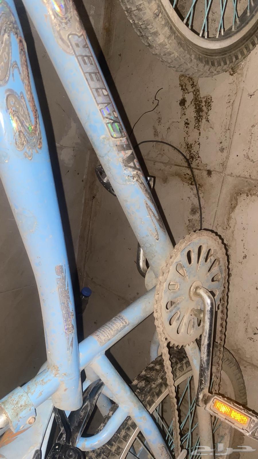 Cobra Cycle64530359990401113