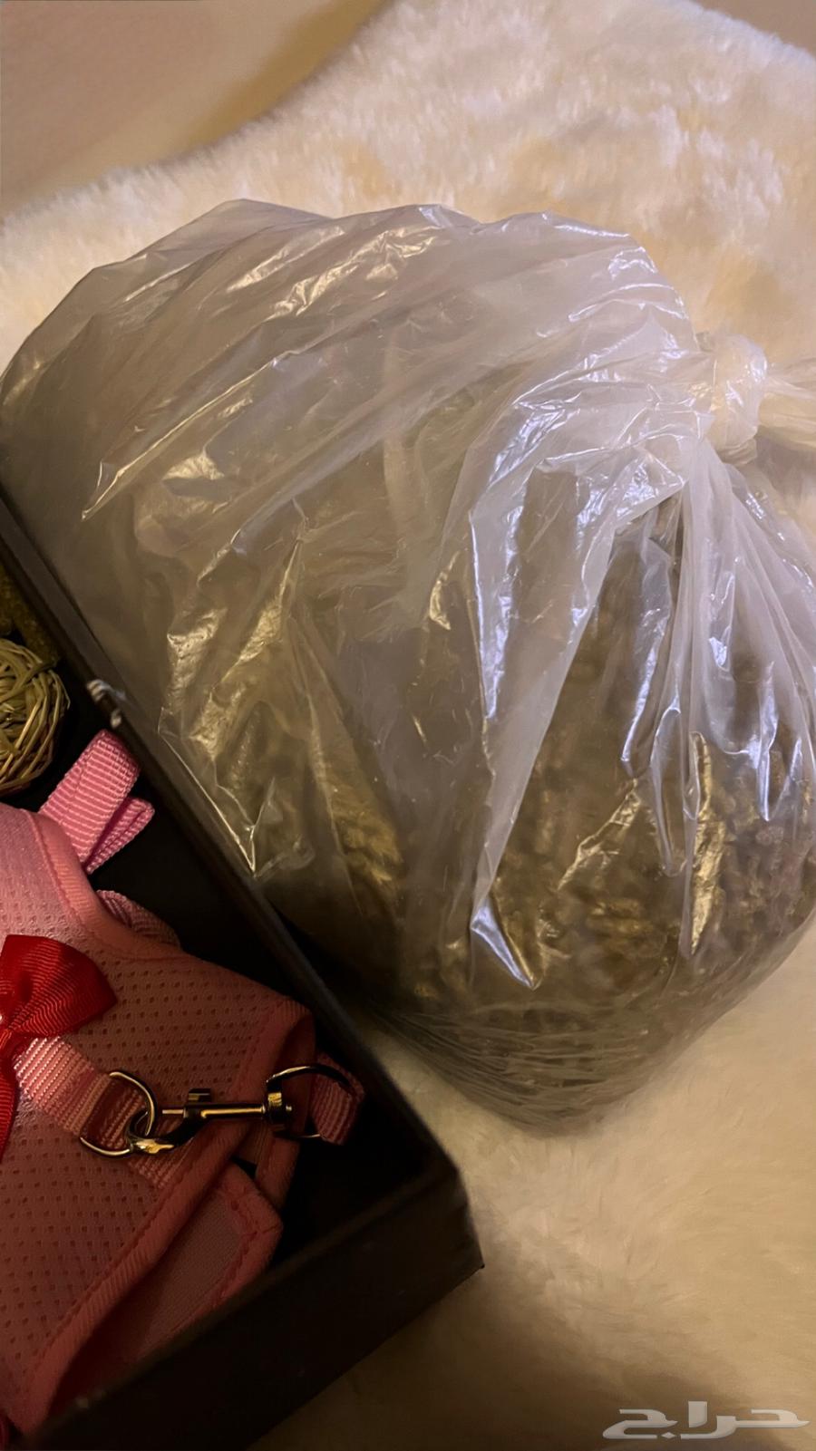 أرنب أليف صغير مع كامل مستلزماته64530599950465112