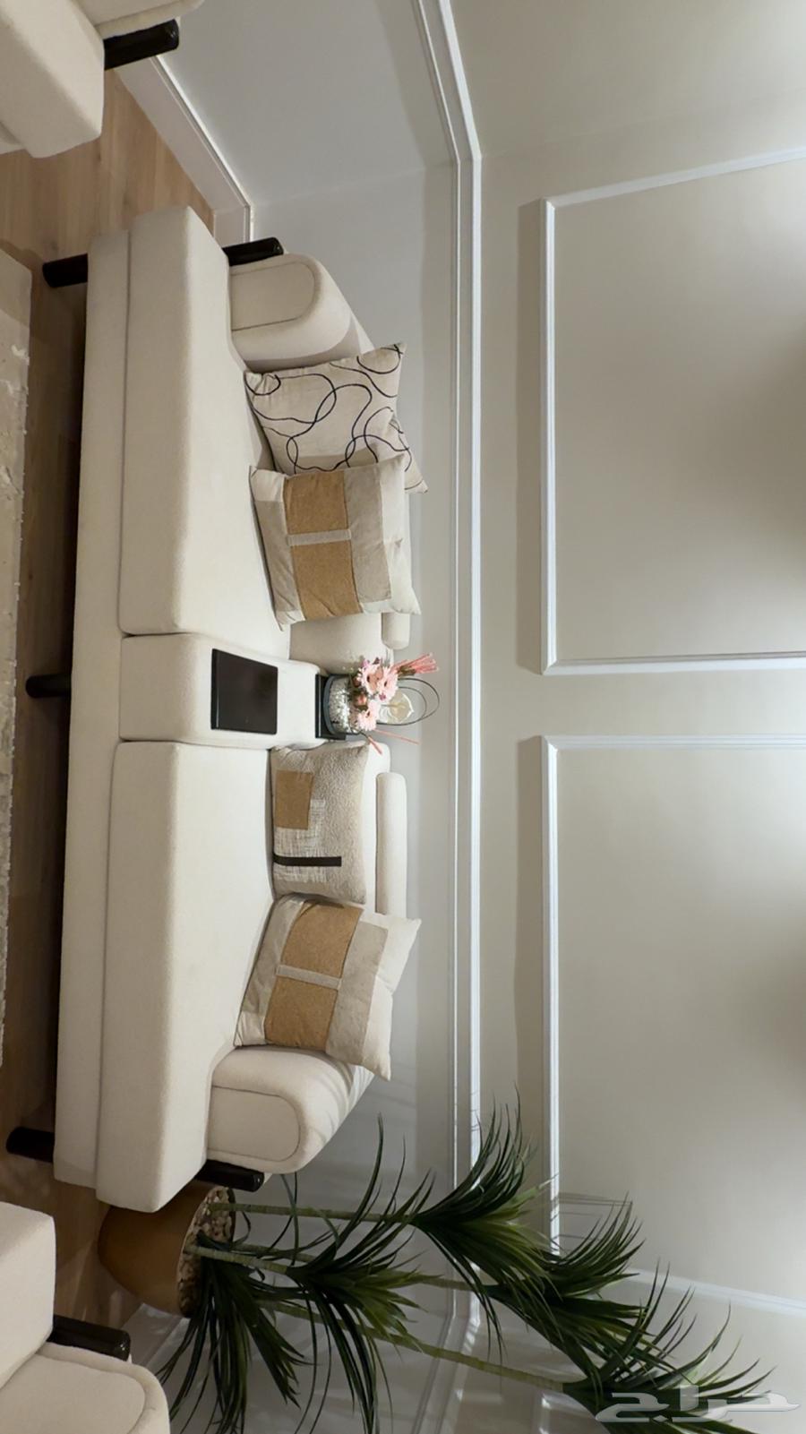 A new sofa I bought two months ago with very light use64527684029570114