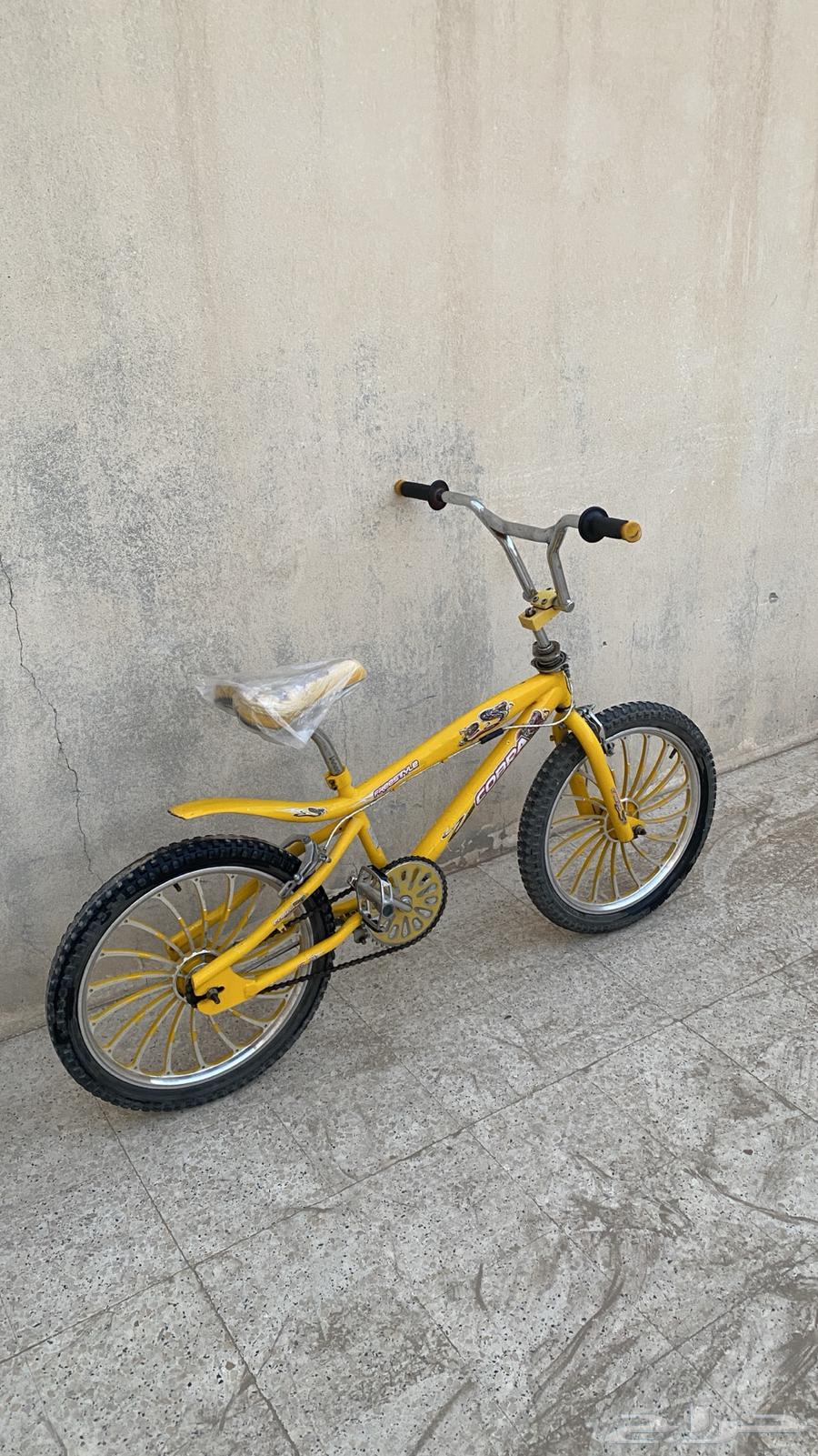 سياكل كوبرا 2 نضيفة جدآ للبيع64529462009474112