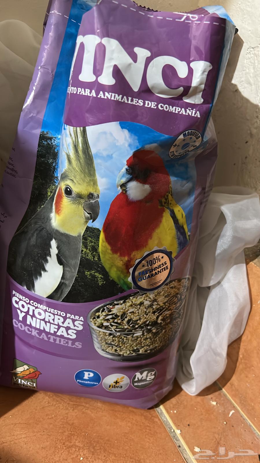 Senior64529938781443110