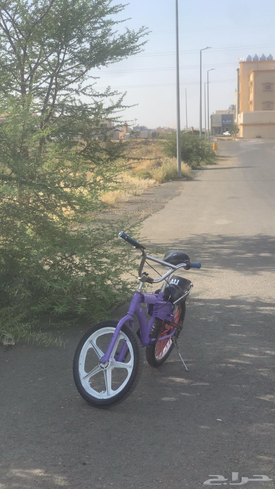 Original Rambo Cycle64527877365634113