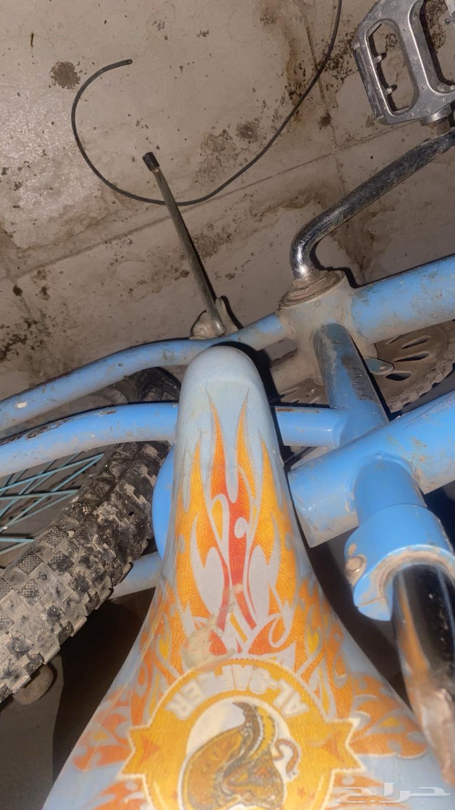 Cobra Cycle64530359990401114