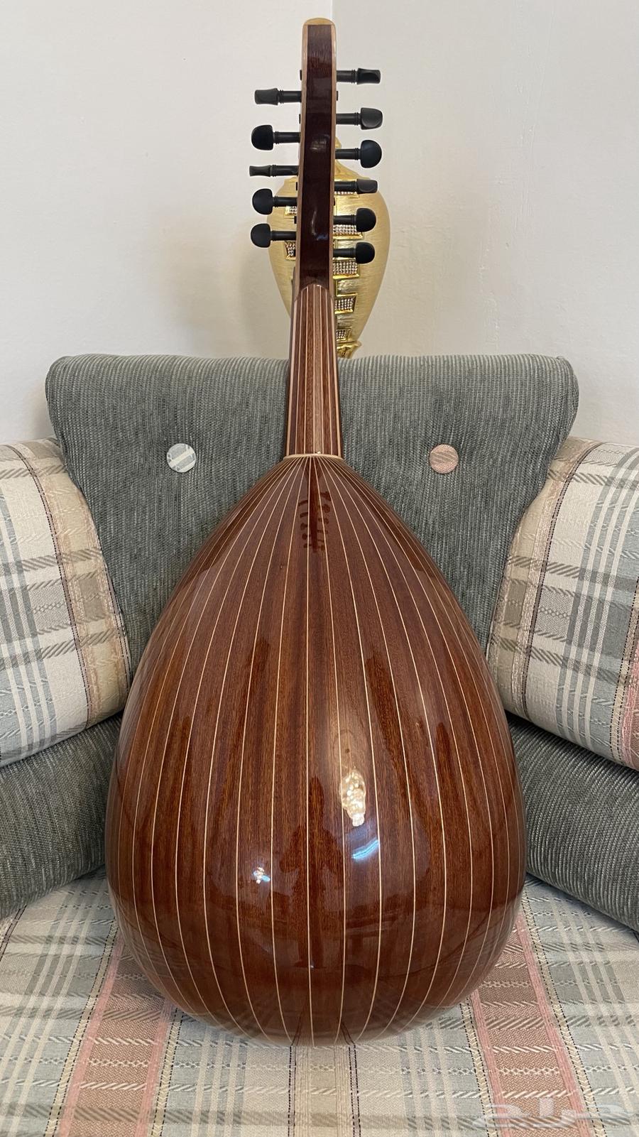 عود زرياب للبيع64532381730946110