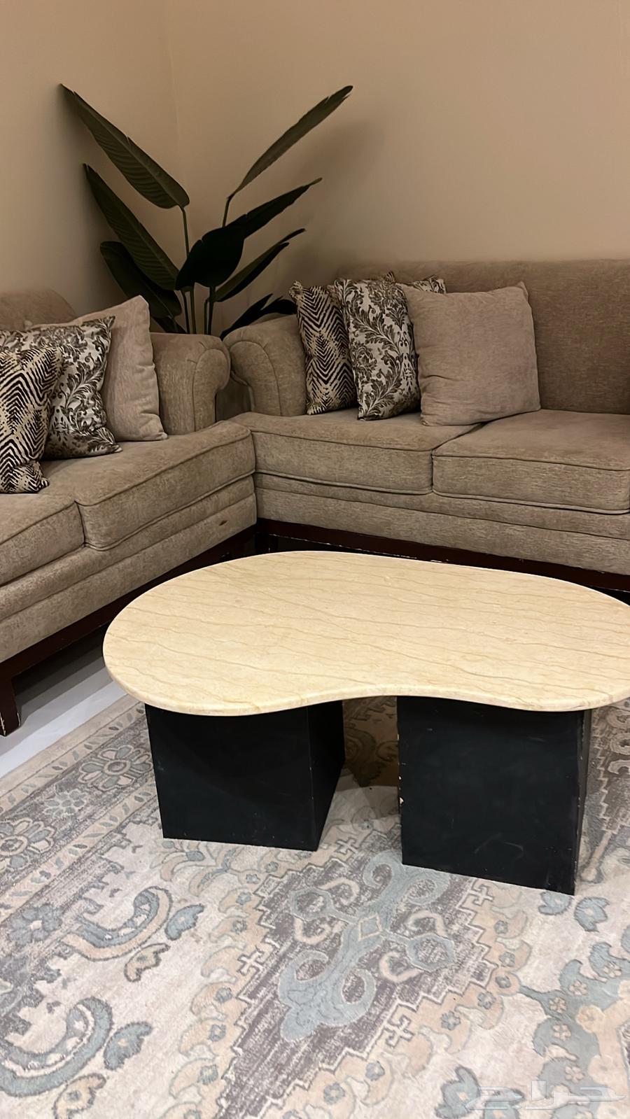 Al-Qurayyat64533790046978111