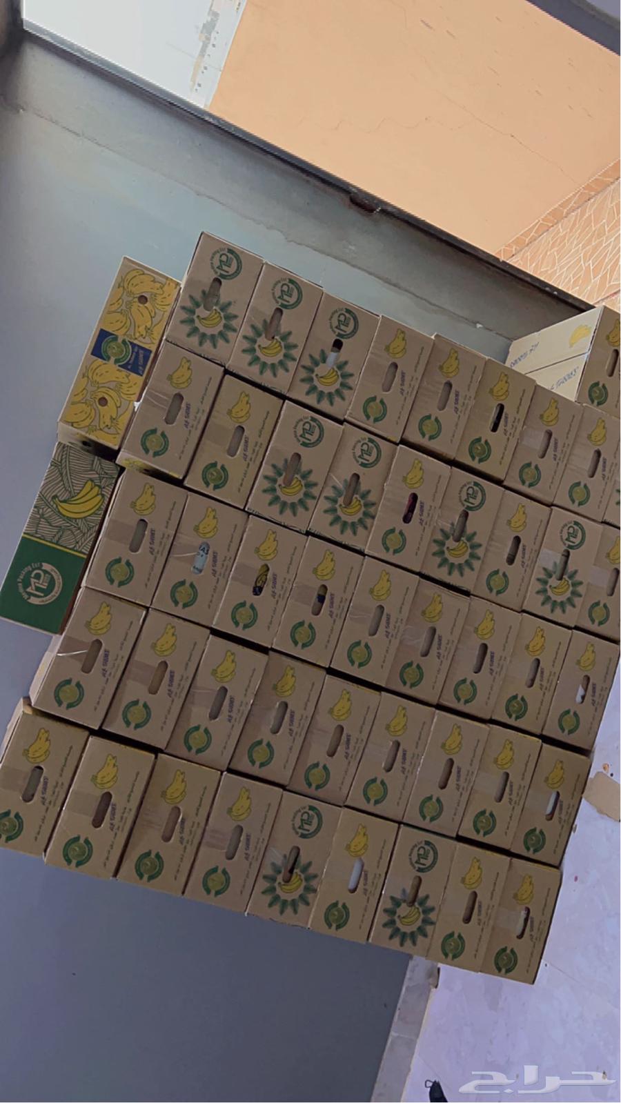 Hello, I'm offering you Barni dates64533133488513112