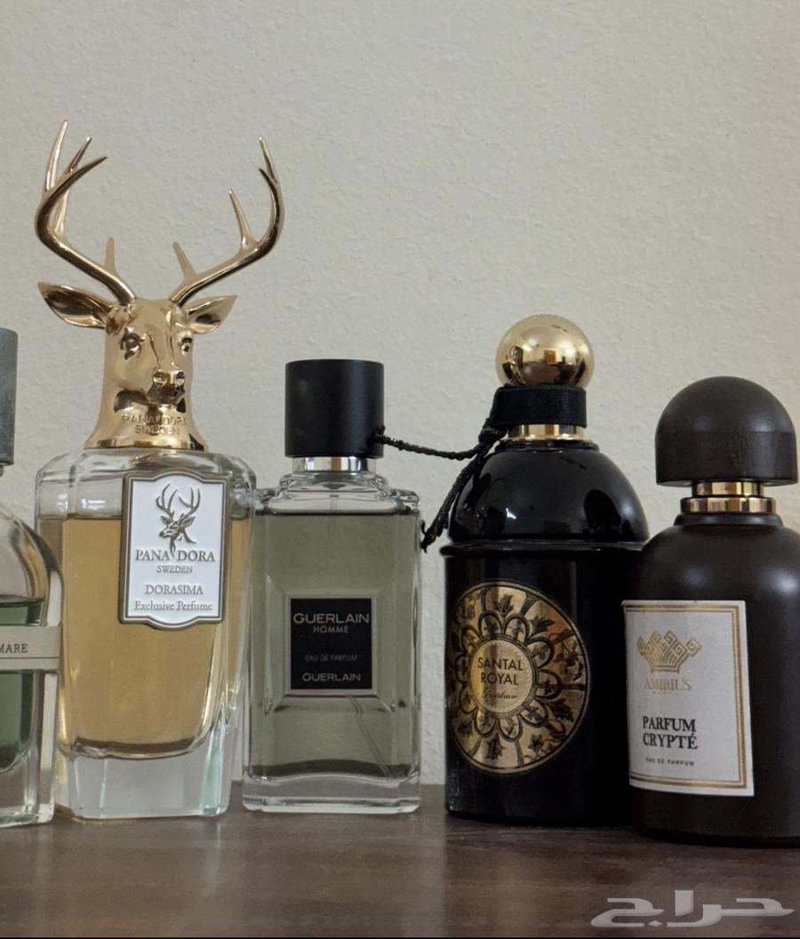 Perfumes64528781171715114