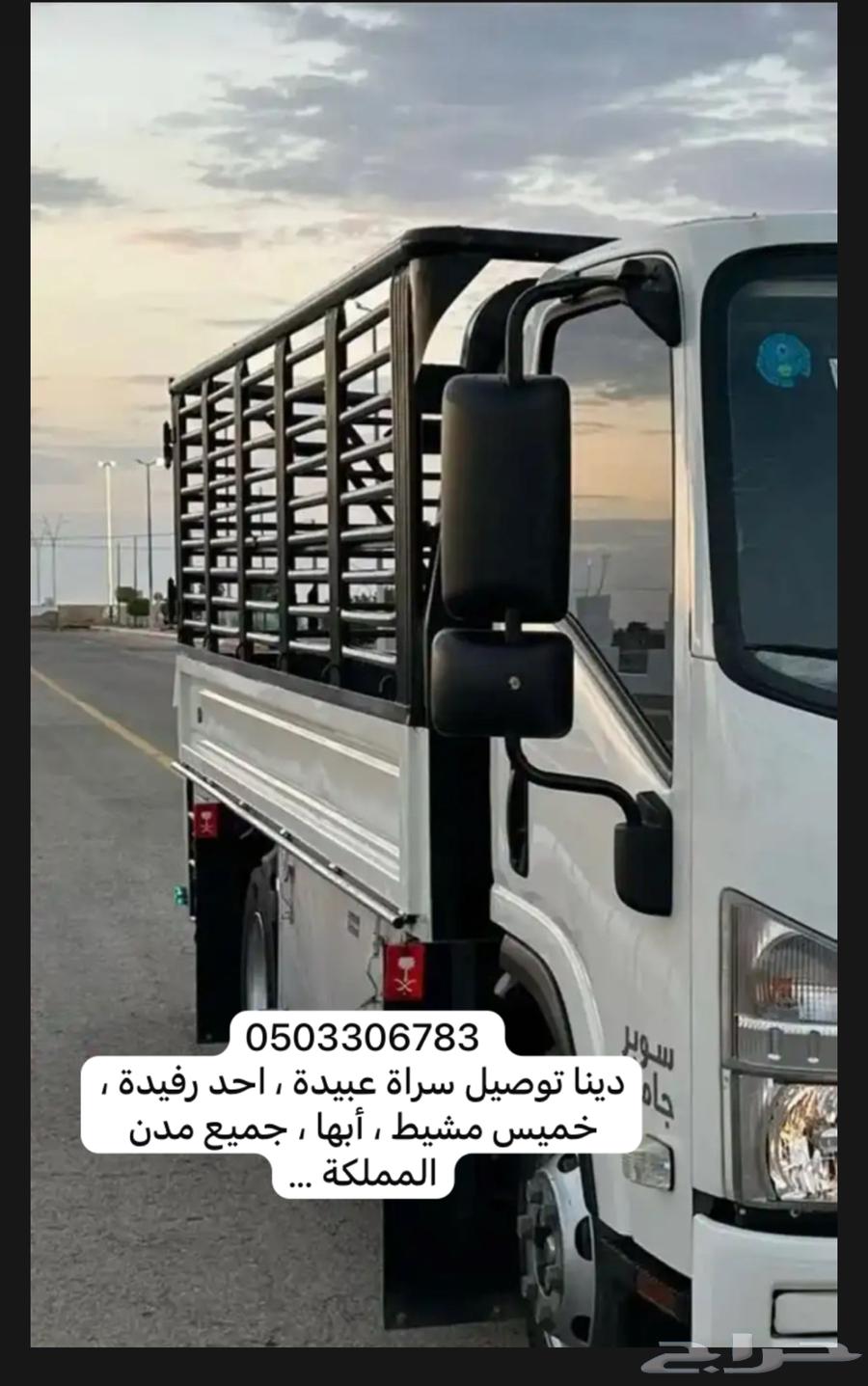 دينا شبك للتوصيل64151009101058110