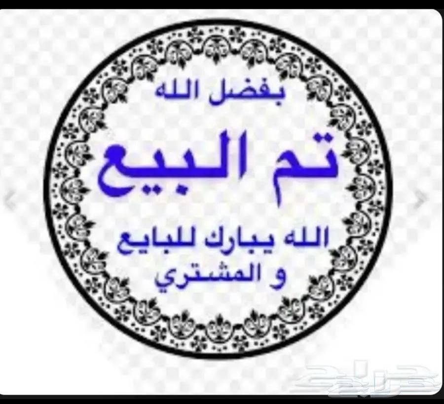 صوص صيصان فيومي مشكل64411955639169110