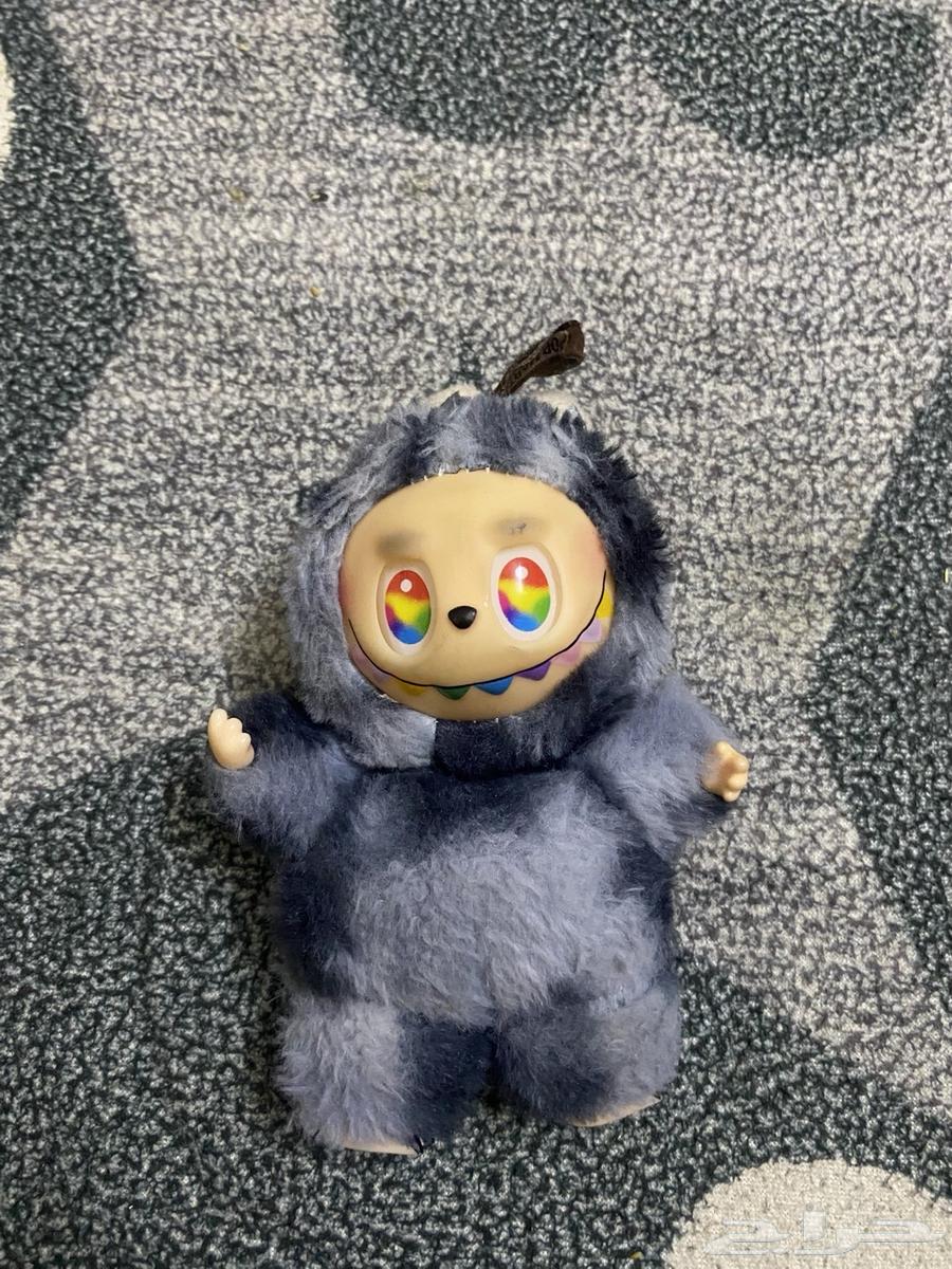 Lapopo Nader color gris64534141862786111