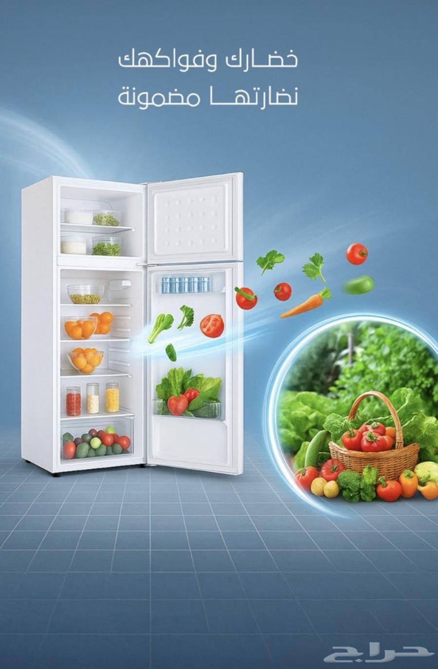 عروض عيد الوطني64529419645953111